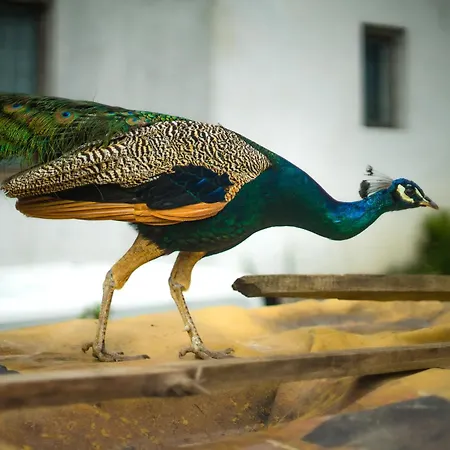 Kwatera prywatna Gabrysiówka