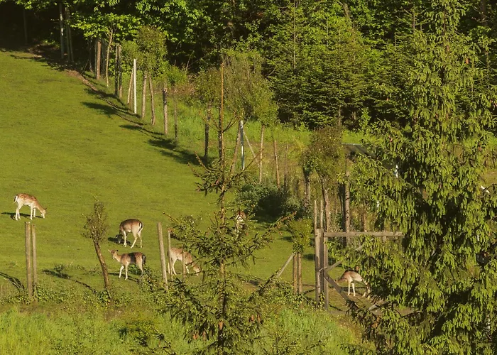 Alloggio in famiglia Gabrysiowka *